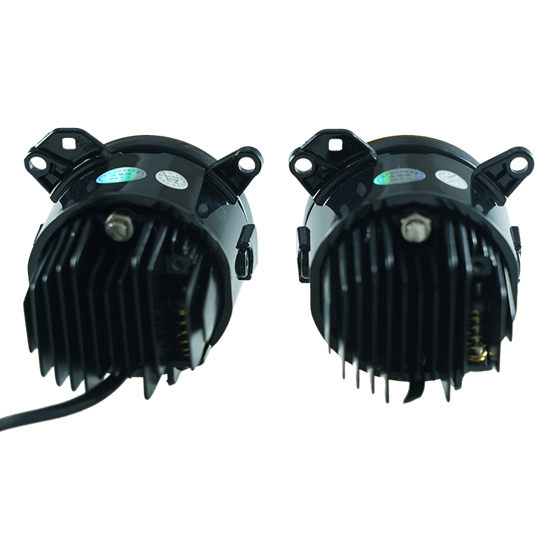 Guardian Golden Eye